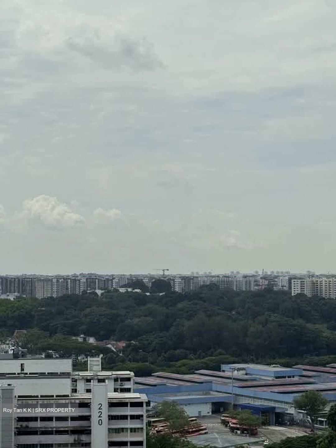Blk 216 Lorong 8 Toa Payoh (Toa Payoh), HDB 5 Rooms #567576981